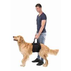 ceinture ventrale - aide-a-relever-harnais-de-soutien-trixie