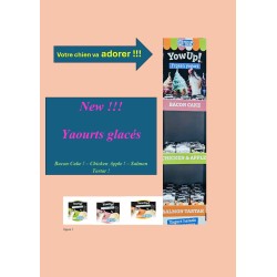 YOW UP, yaourt glacé pour chien
