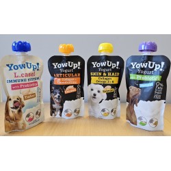 yaourts glacé YOW UP