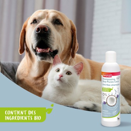 shampoing-naturel-stop-puces-pour-chiots-chatons-de-beaphar-250-ml