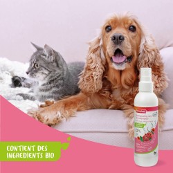Spray Shampooing sec à base d'Aloe Vera réactivé, de Coquelicot Bio et