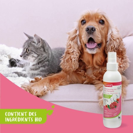 Spray Shampooing sec à base d'Aloe Vera réactivé, de Coquelicot Bio et