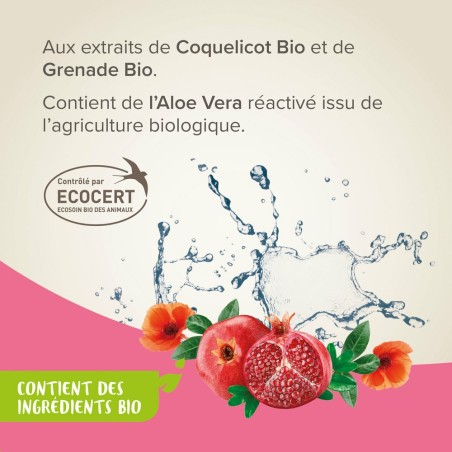 Spray Shampooing sec à base d'Aloe Vera réactivé, de Coquelicot Bio et