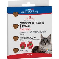 shampooing-mousse-sans-rincage-pour-chiens-francodex