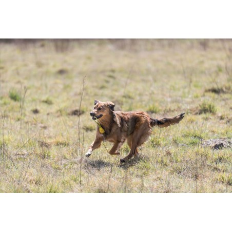 Jumper sur corde en caoutchouc naturel – Trixie