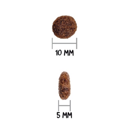 Croquettes Chien Ownat Classic Canard
