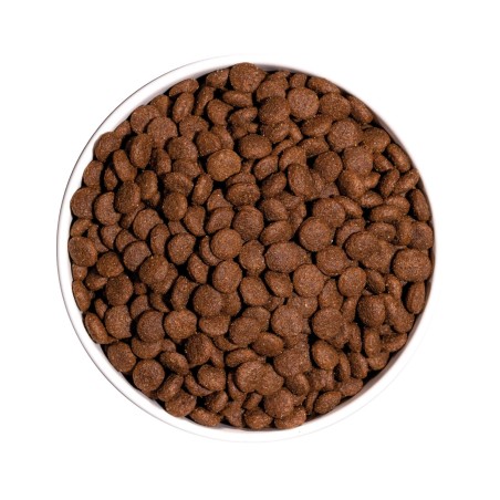 Croquettes Chien Ownat Classic Junior