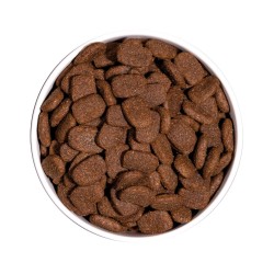 Croquettes Chien Ownat Classic Complet