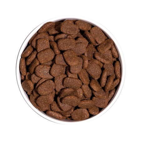 Croquettes Chien Ownat Classic Complet