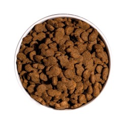 Croquettes Chien Ownat Classic Fish