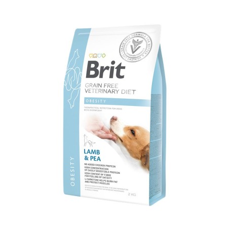 Croquettes Chien Brit Vet - Obésité