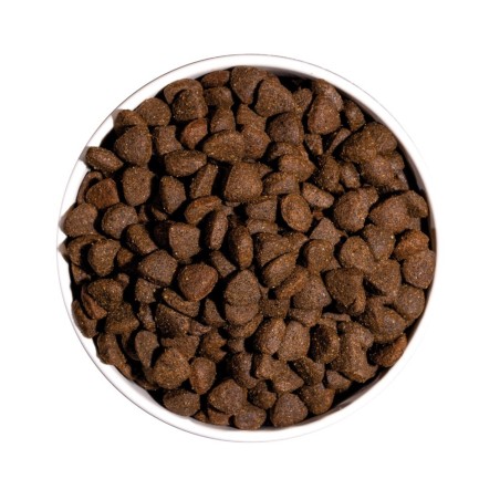 Croquettes Chien Ownat "Just Grain Free" Duck