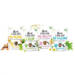 Brit Dental Stick Calm with Hemp & Motherwort (chanvre & agripaume)