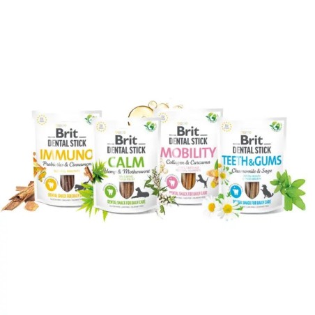 Brit Dental Stick « Teeth & Gums » with Chamomile & Sage  Soin des den
