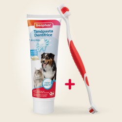 Combi-Pack Dentaire : Brosse à dents & dentifrice – Beaphar
