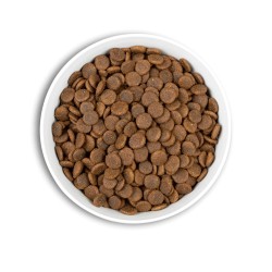 Croquettes ERA Grain Free Senior & Light Moyennes et Grandes Races- Po