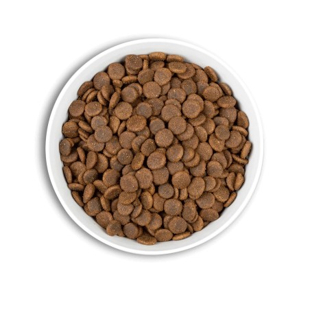 Croquettes ERA Grain Free Senior & Light Moyennes et Grandes Races- Po
