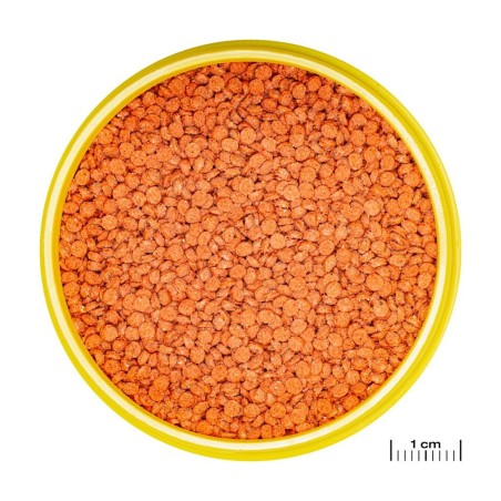 Alimentation spécifique pour Discus et autres cichlidés d’Amérique du