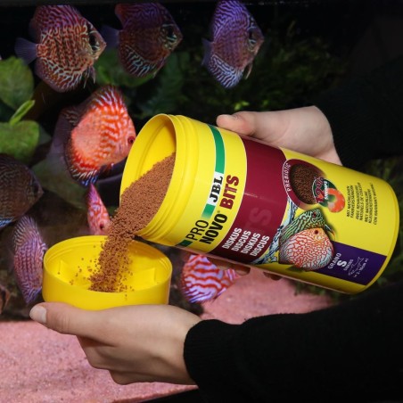 Alimentation spécifique pour Discus et autres cichlidés d’Amérique du