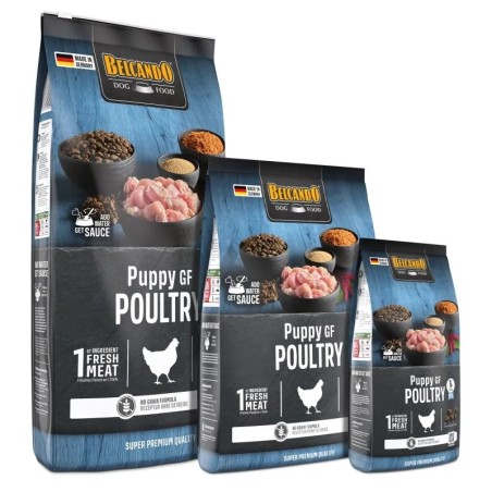 Croquettes Belcando Chiot Sans céréales Volaille | Animaux-Market