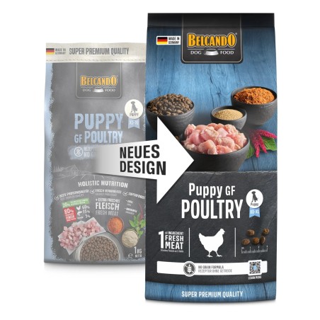 Croquettes Belcando Chiot Sans céréales Volaille | Animaux-Market