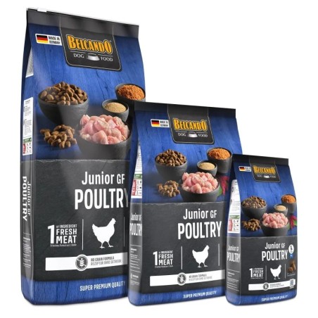 Croquettes Belcando Junior Sans céréales Volaille | Animaux-Market