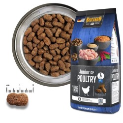 Croquettes Belcando Junior Sans céréales Volaille | Animaux-Market