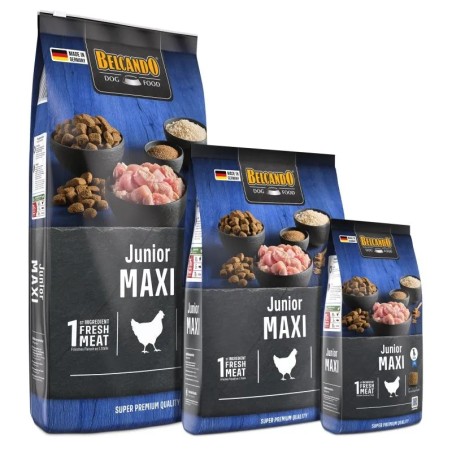 Croquettes Belcando Junior Maxi | Animaux-Market