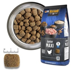 Croquettes Belcando Junior Maxi | Animaux-Market