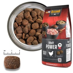 Belcando Adult Power : Alimentation Canine pour les chiens ayant une a