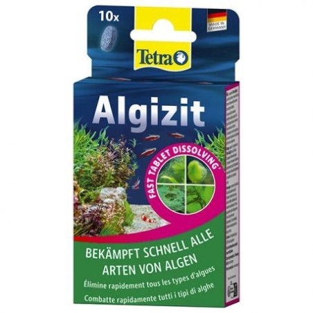 Tetra Algizit - Animaux Market