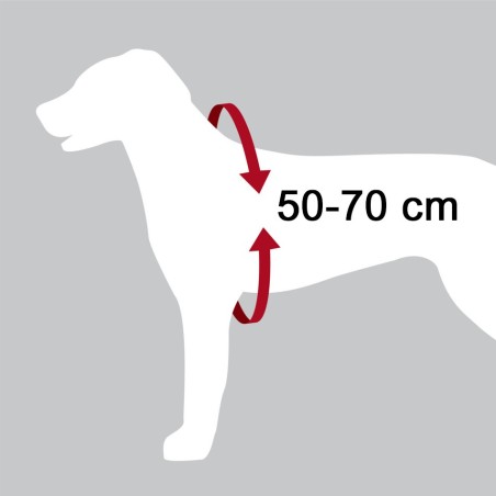 Harnais et laisse de sécurité de voiture pour chien