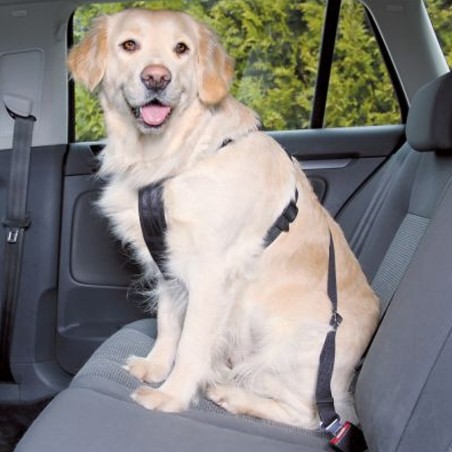 Harnais et laisse de sécurité de voiture pour chien