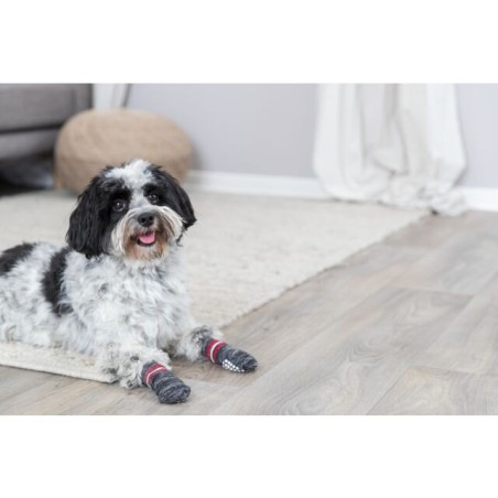 Chaussettes de protection pour chien