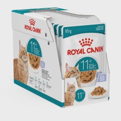 Healthy Ageing 11+ Aliment pour les chats adultes de plus de 11 ans.