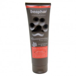 Shampoing brillance du pelage Beaphar BEAPHAR 8711231150205 Shampooings