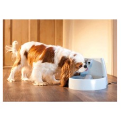 Fontaine à eau Petsafe Drinkwell Original 1,5L PETSAFE 729849145245 Gamelles, distributeurs