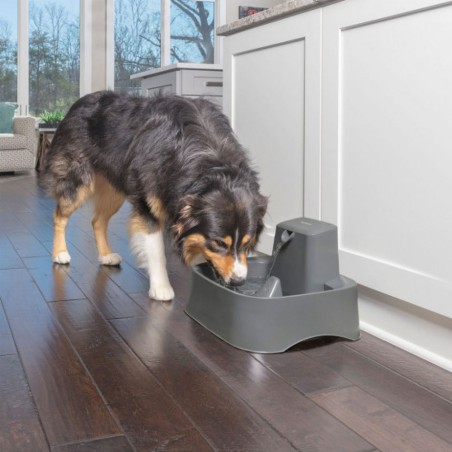 Fontaine à eau Drinkwell 7.5L PETSAFE 729849165625 Distributeurs de nourriture et eau