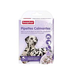 Pipettes calmantes pour chien Beaphar BEAPHAR 8711231138982 Hygiène, soins et accessoires