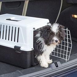 Caisse de transport animaux Ferplast Atlas 10 EL FERPLAST 8010690062853 Cage de transport