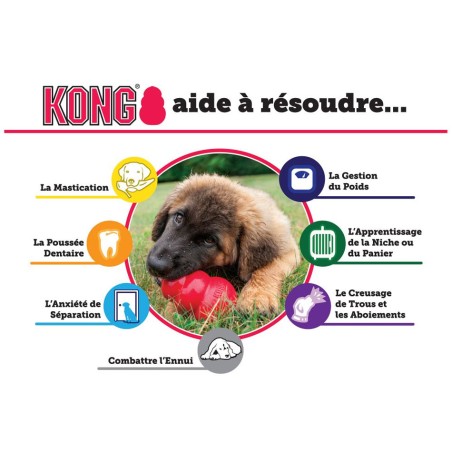 Jouet Kong Puppy   Jouets Kong