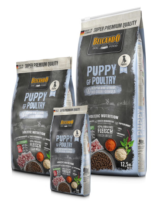 RS5754_BB_Puppy_GF_Poultry_Gruppe_190731_MCK-scr.jpg