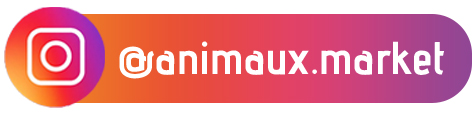 Lien vers Instagram