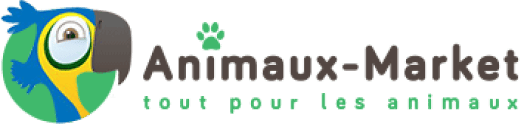 Animaux-market