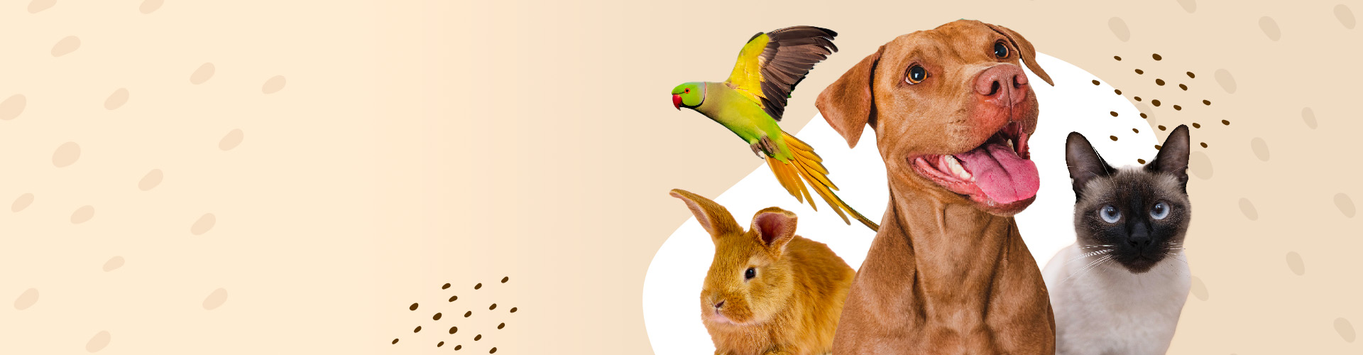 Votre animalerie en ligne